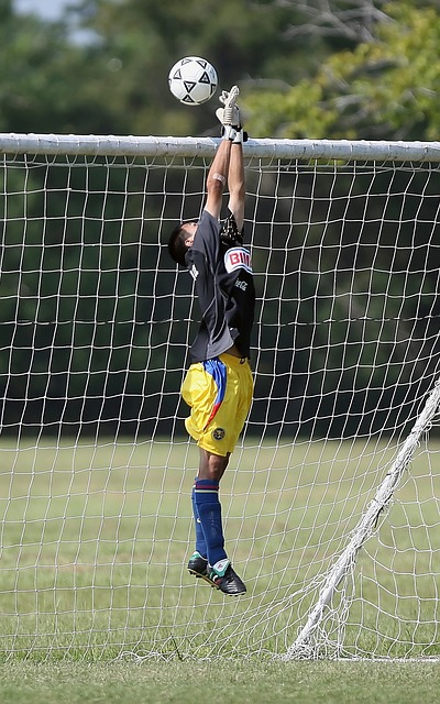 表现不仅巩 表现不仅巩