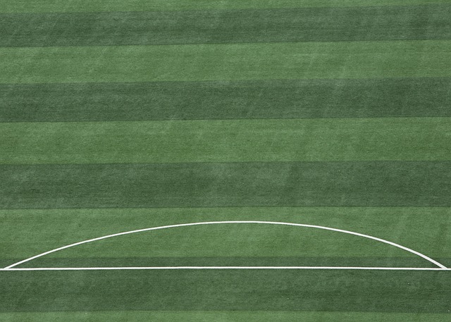 何以神奇的 何以神奇的