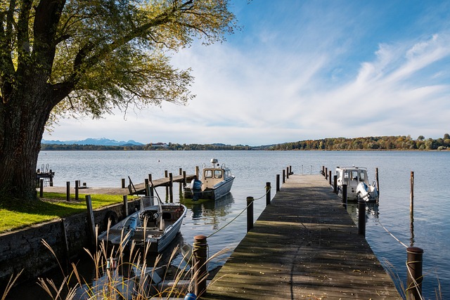 他们不仅能 他们不仅能