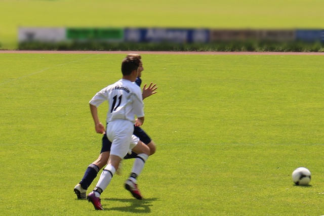 成功地动摇 成功地动摇